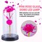 Preserved Rose in Glass Dome with LED Lights Elegant Gift Décor